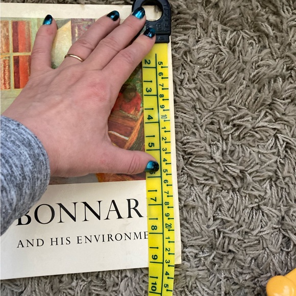 Bonnard and His Environment by SOBY - Pierre Bonnard - Vintage Bonnard Art Book - Picture 2 of 12